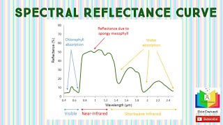 REMOTE SENSING - SPECTRAL REFLECTANCE CURVE