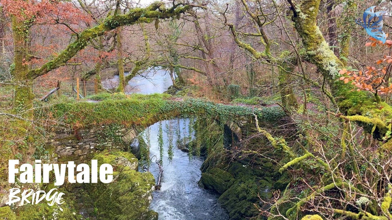 💧🌲Water & Nature Ambience at Fairytale Bridge (2 Hours) – Nature & Water Sounds - Instantly Sleep