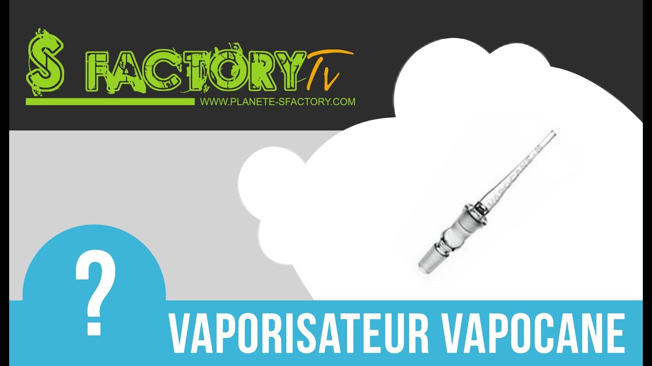 Vapocane vaporisateur chez S-factory