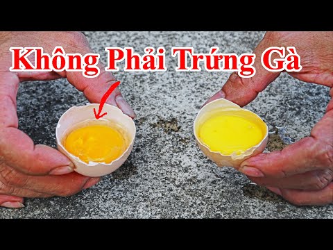 Video Cách Phân Biệt Trứng Gà Ta Nuôi Công Nghiệp Ăn Cám &... - youtube