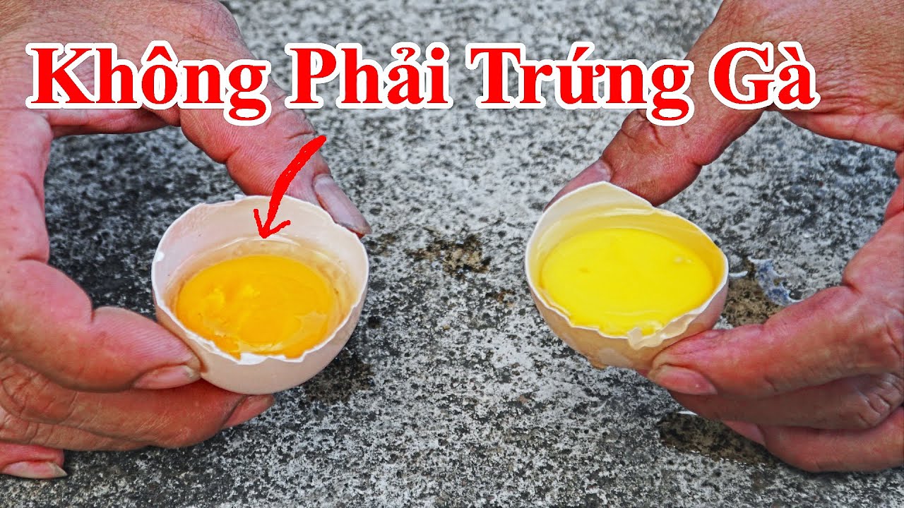 Cách Phân Biệt Trứng Gà Ta Nuôi Công Nghiệp Ăn Cám & Trứng Gà Ta Thả ...