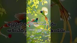 #viral #video #trending #motivation #music #love #like #live #quotes #bakthi #comedy #funny #song