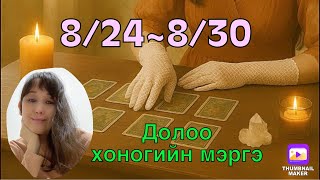 8/24~8/30
