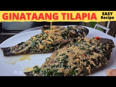 필리핀식 코코넛 크림 틸라피아 조림