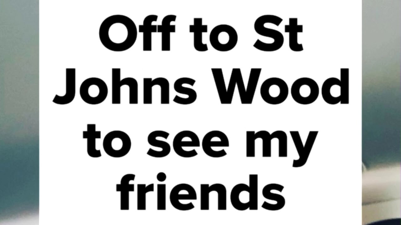 Canine Friends Pet Therapy | Brock Gulbransen