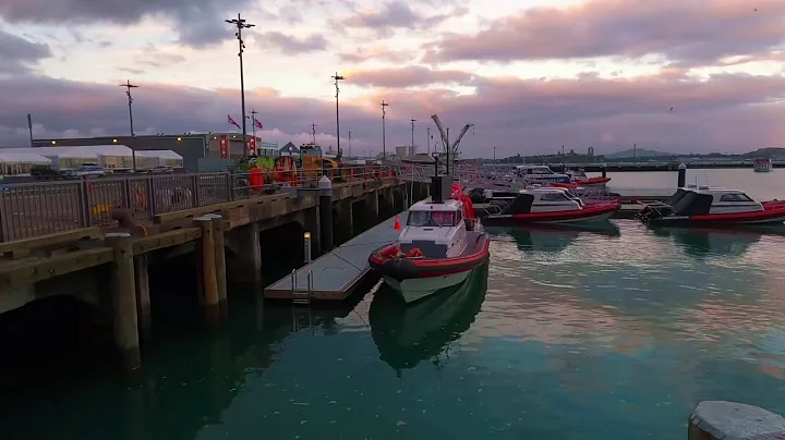 [ 4K HDR ]New Zealand Auckland Evening Walk