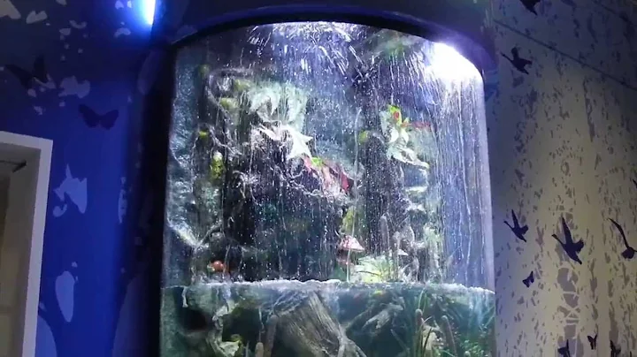 A sneak peek of the Nationwide Children's Hospital's aquarium on Animal Planet's hit show Tanked.