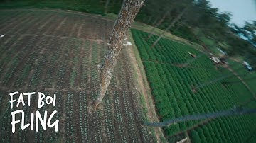 Fling Around | TBS Source One - w/ 830g Fat | Emuflight 0.3.3