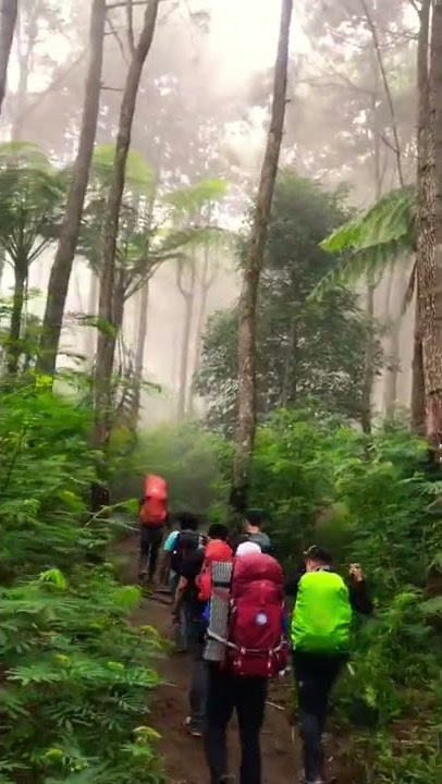 Mendaki gunung #shorts #short #shortvideo #subscribe #status #share #shortsvideo