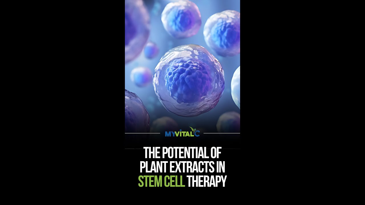The Potential of Plant Extracts in Stem Cells Therapy