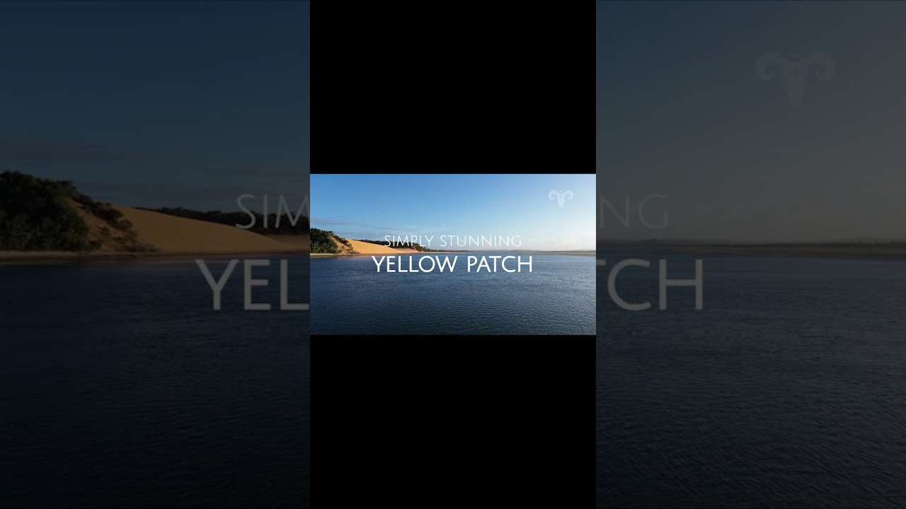 ⁣Simply Stunning Yellow Patch | Sailing ARGO