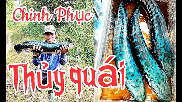 Câu cá lóc bông #câu cá lóc rừng U Minh Thượng @huukhuynhkiengiang  (tập 88)