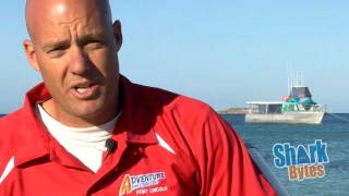 Shark Bytes: webisode 1