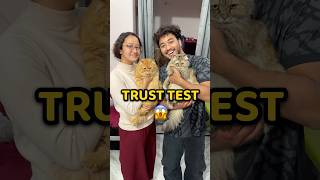 Cat Trust Test Check 😱 #vlog #minivlog #familyvlog #cat