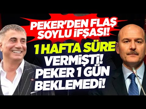 Sedat Peker'den Flaş Süleyman Soylu İfşası! 1 Hafta Süre Vermişti! 1 Gün Beklemedi! KRT Haber