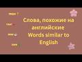 Words that are similar in English and Russian