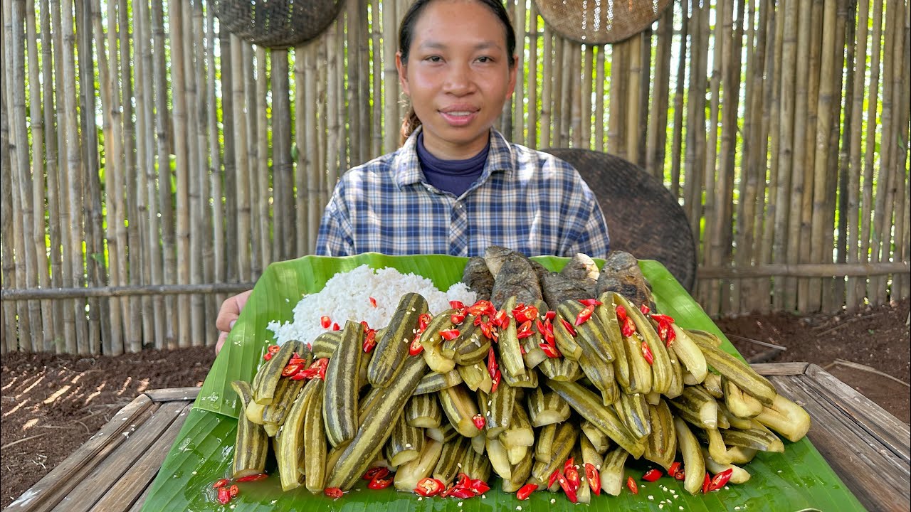 ជ្រក់ត្រសក់ស្រូវ Chhom Sreypach