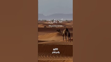 تلاوة خاشعة هادئة من سورة الغاشية أفلا ينظرون إلى الإبل كيف خلقت القارئ ياسر خضر