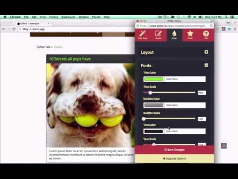 How to Embed Video Gallery on WordPress for FREE