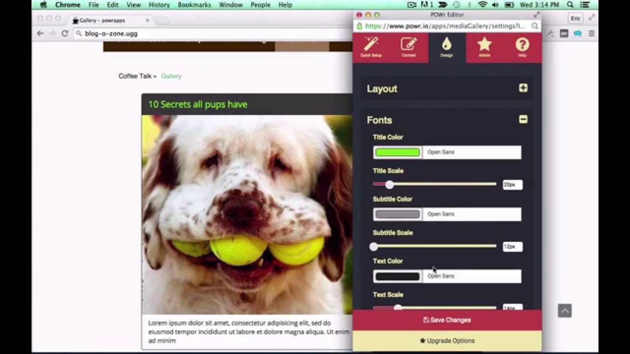How to Embed Video Gallery on WordPress for FREE