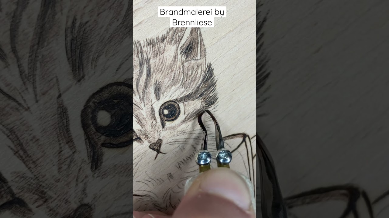 Brandmalerei Katzen mit Spezial Brandmalspitze 