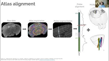 2022 Lecture 09 Aligning spikes to histology ( Tyson, Saldanha, and Faulkner)