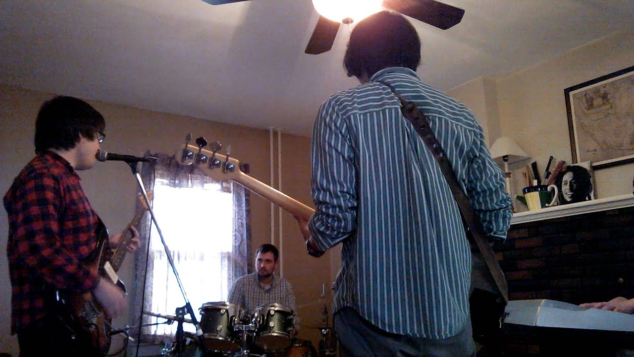 Laminated Cat YouTube