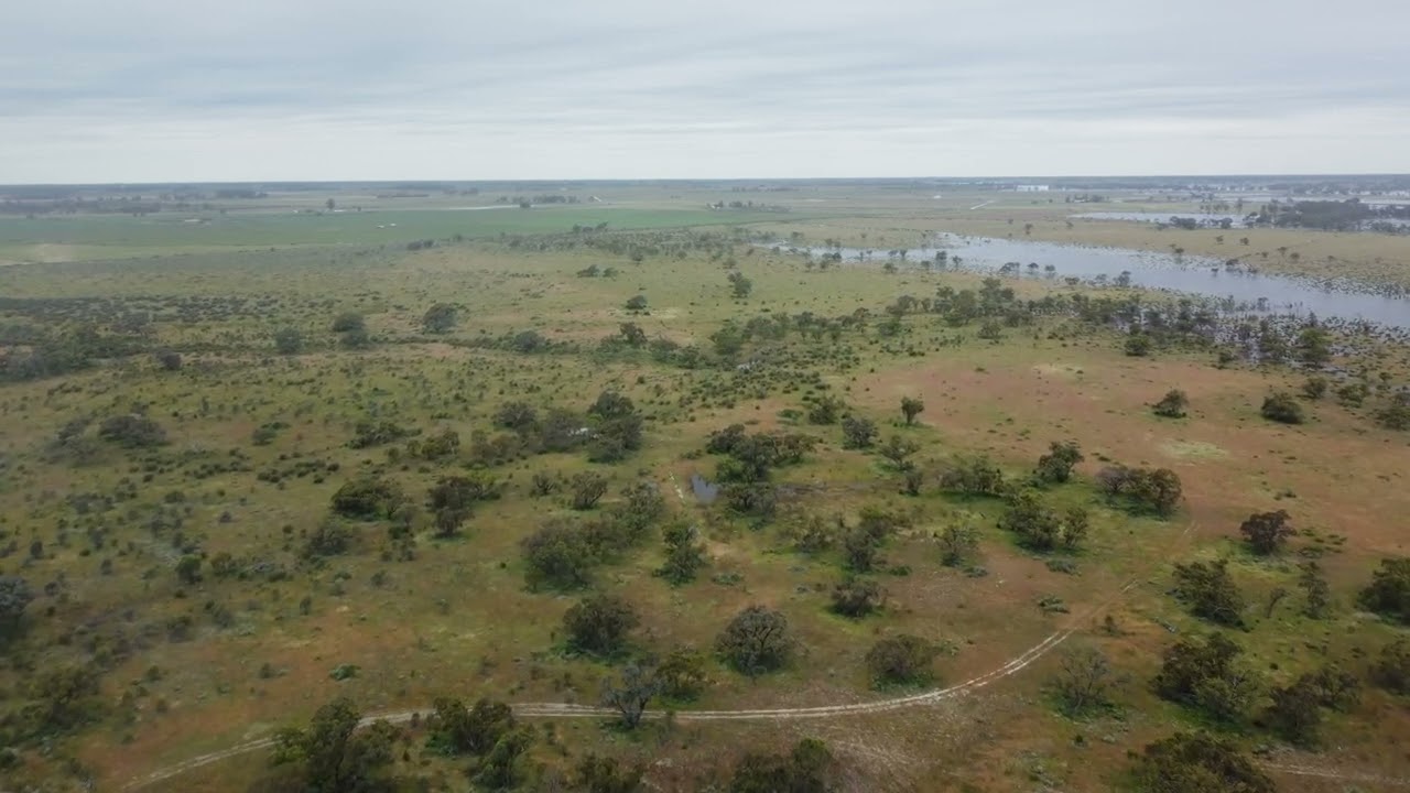 KAJX DRONE ADVENTURES | 30 | BENJEROOP FOREST