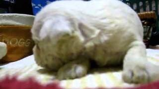 MVI_7892.AVI