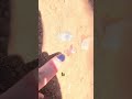 #geology #petroglyphs #ancient
