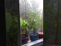 #rainyday