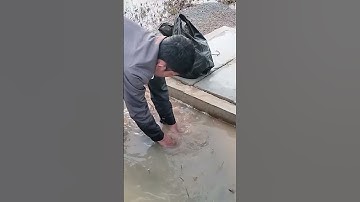 Unclogging Culvert Drain Water #remove #unclog #drain #youtubeshorts