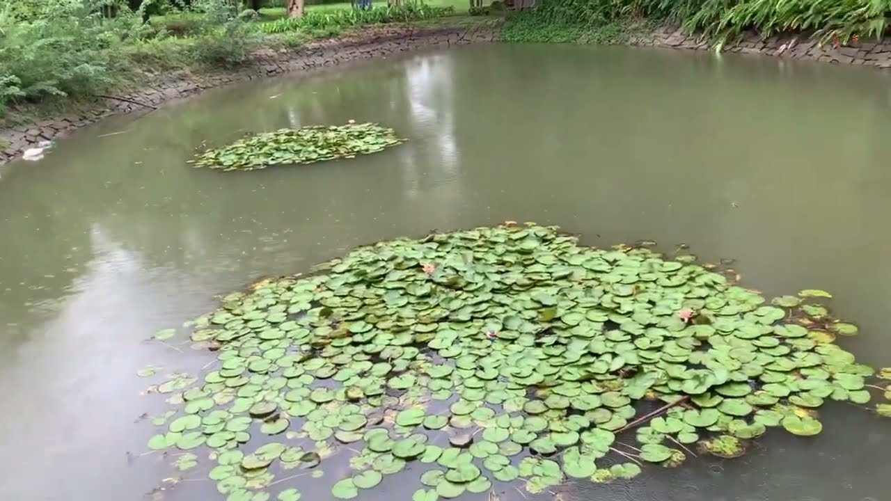 A perfect day!!! Jalamandali park