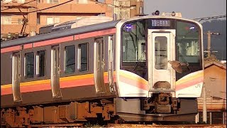 直前に鳥が横切ったE129系B19編成B4編成 信越本線