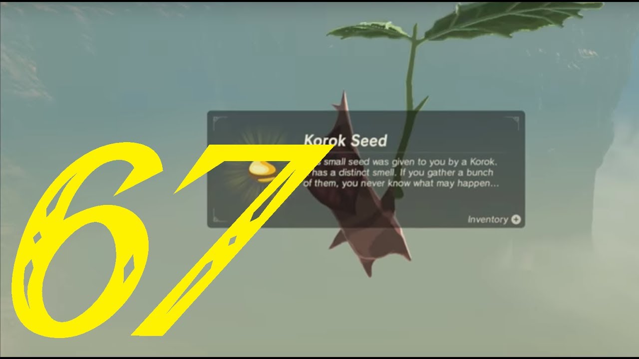 Woodland Korok Seeds | Zelda: Breath of the Wild 100% Walkthrough "67/127" (No Commentary)