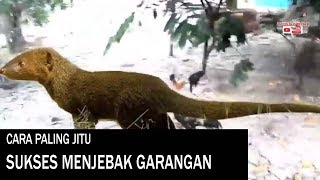 CARA MENJEBAK GARANGAN DIJAMIN KENA TERBUKTI