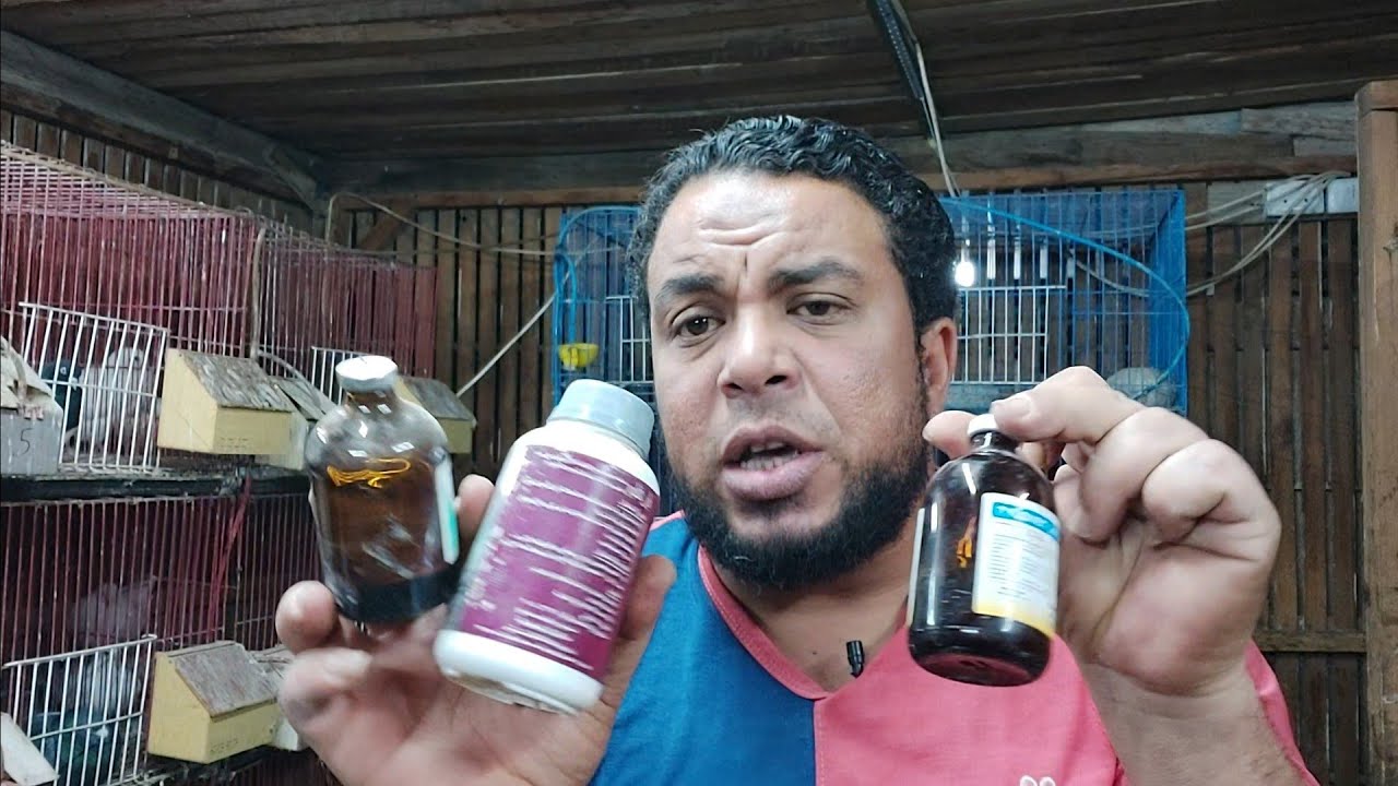 انتشار الأمراض والحمام بيموت بعد جرعة المضاد حيوي 🥲🥲🥲🥲