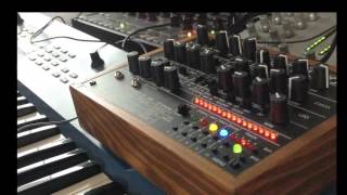 LepLoop analog(LepLoop & Akai Rhytm Wolf) live jam 100%Improvisation