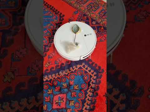 پاکسازی تخصصی انرژی منفی محیطی و جارو کردن خونه عود دستساز عود پاکسازی انرژی منفی 