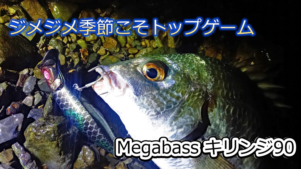 ジメジメ梅雨にこそトップゲームに興じたい[キリンジ]