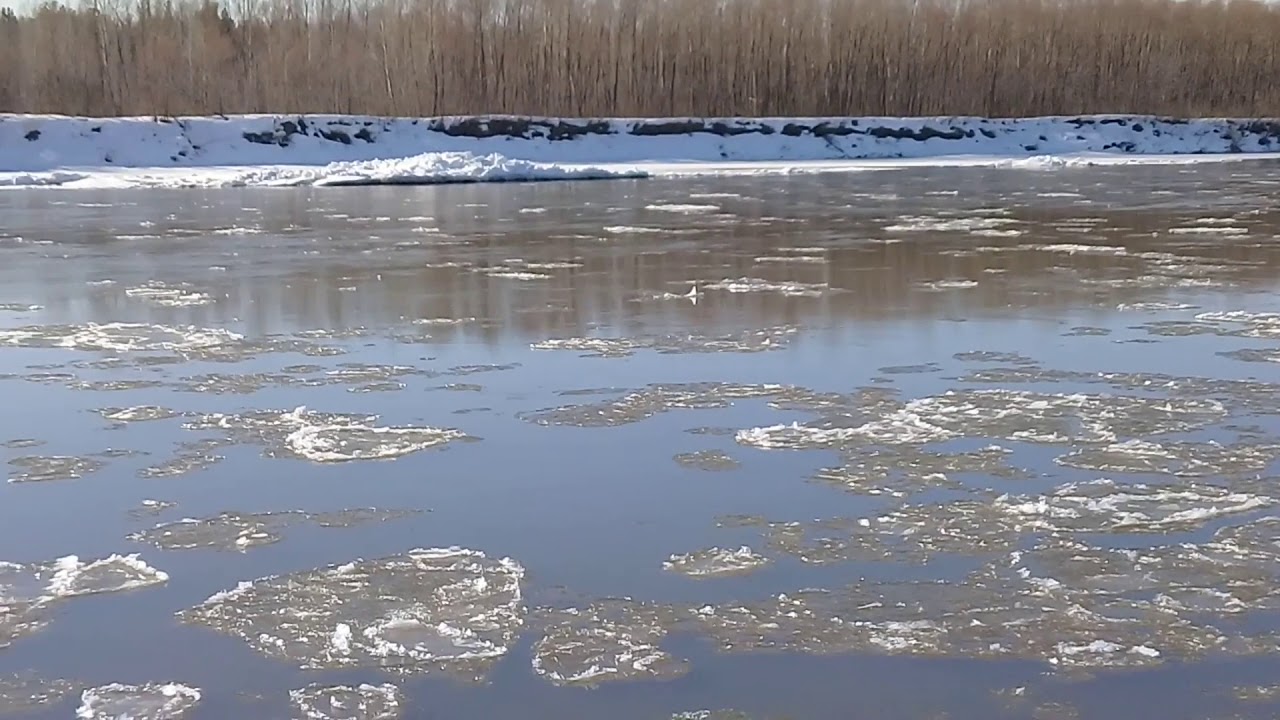 Уровень воды в чумыше сегодня тальменка. Как взрывают лед на реках весной.