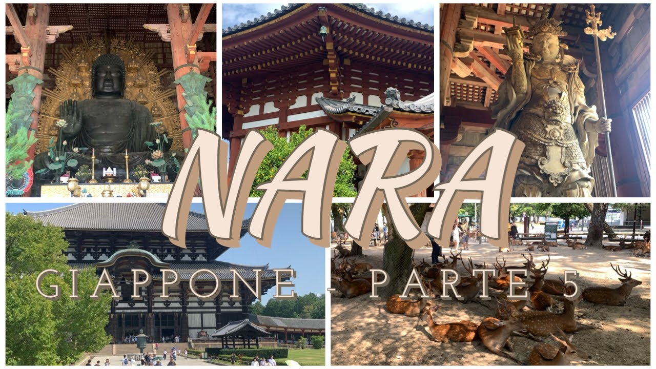 NARA: tra cervi e statue giganti! - Giappone parte 5 #giappone #nara