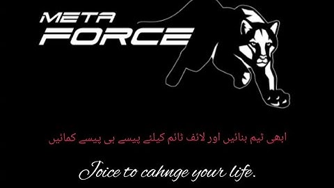 How to add SFC coin in Meta Force.