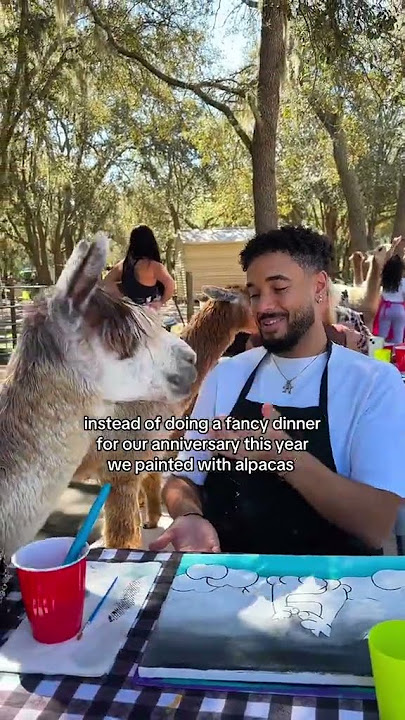 fun activity over fancy dinner always ❤️🦙
