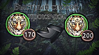 🐾 WildCraft || Один из способов быстро прокачаться от 150-170 до 200. || Как я качаюсь.⚡