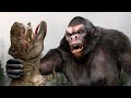 Best epic trex dinosaur attack  king kong vs trex  jurassic world dominion  teddy chase