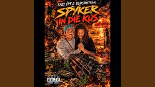 Spyker in Die Kus