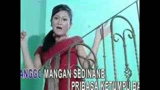 iche sonia Pait leder,