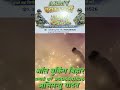आर्मी लवर
