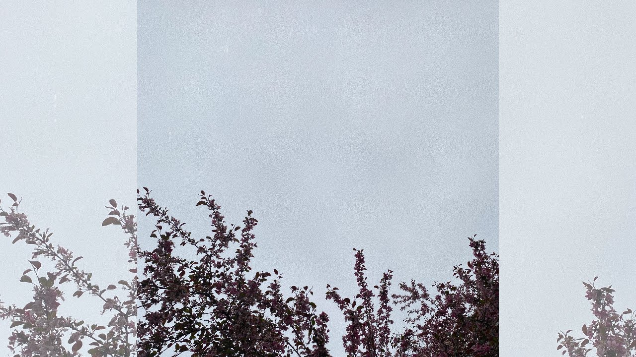 Caleb Cruise ~ hardly miss